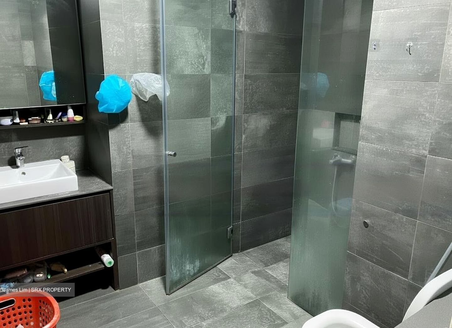 Grandeur Park Residences (D16), Condominium #486843511